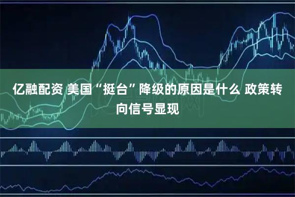 亿融配资 美国“挺台”降级的原因是什么 政策转向信号显现