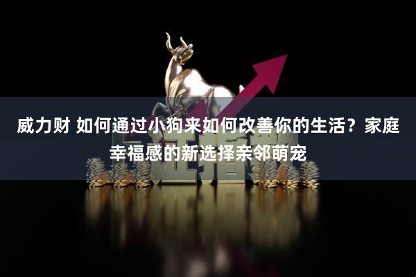 威力财 如何通过小狗来如何改善你的生活？家庭幸福感的新选择亲邻萌宠